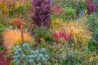 Washington State-Lemolo Garden in autumn Art Print